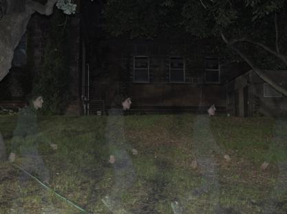 an image with multiple semi-transparent figures walking in a single exposure