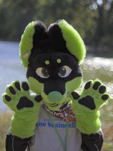 A closeup of a furry