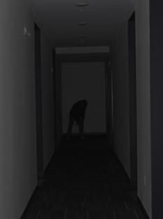 A silhouette of a figure hunched down at the end of a hallway