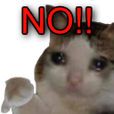 cat with thumbs up with text that says okay