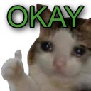 cat with thumbs up with text that says okay
