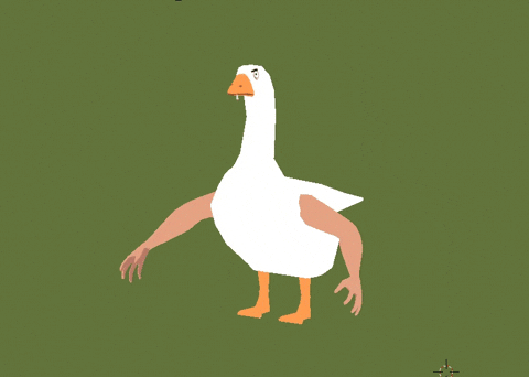 3d model of goose rotating